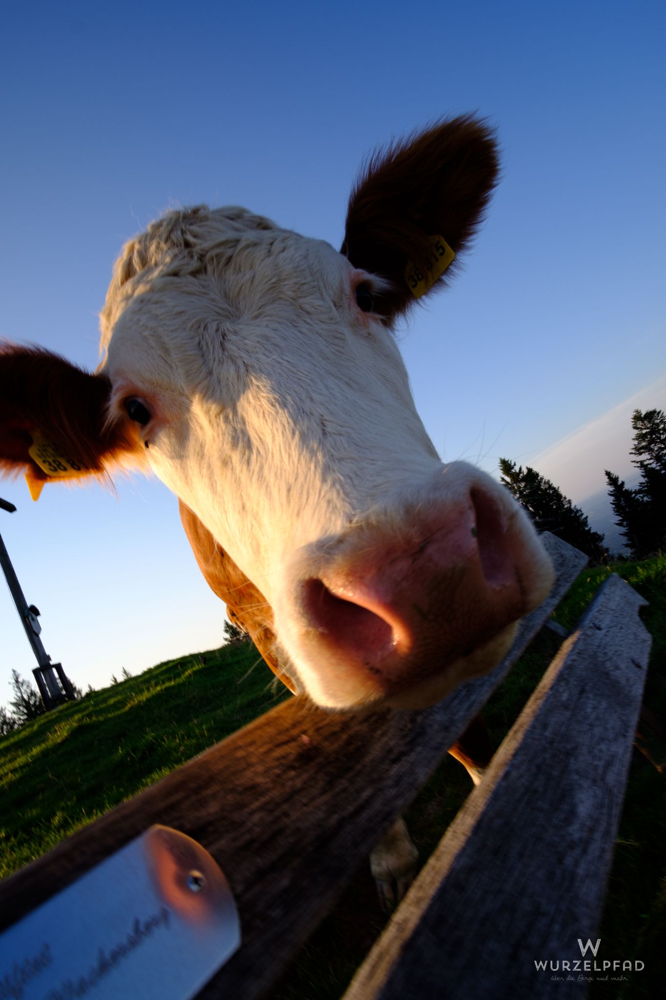 Was machst du auf meiner Bank?